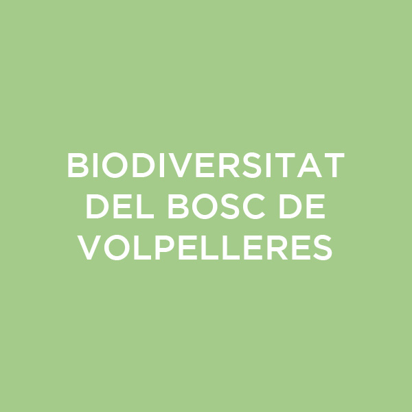 biodiversitat